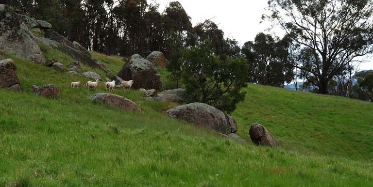 Galls Gap Road, Strathbogie