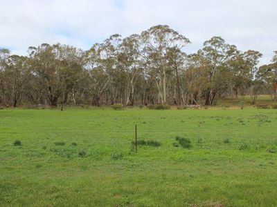 Old Boort Road, Wedderburn