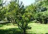 349 Canobolas Road, Orange