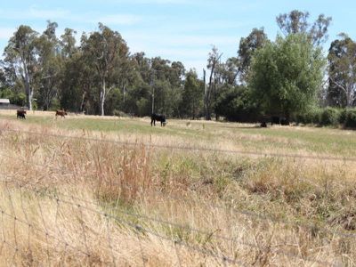 Lot 112, Glenview Drive, Barham