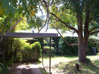 19 Macquarie Street, Morisset Park