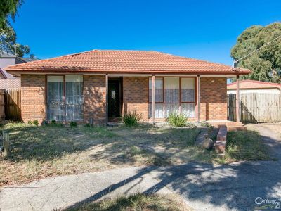 11 Marlene Court, Hampton Park
