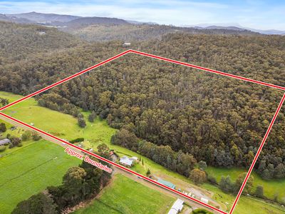 60 Clear Creek Road, Woodbridge