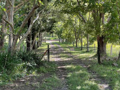 2430 Nimbin Road, Nimbin