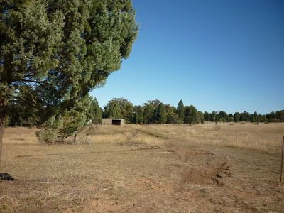 8L Morey Place, Dubbo