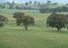 Lot 2 Lookout Road, Orange
