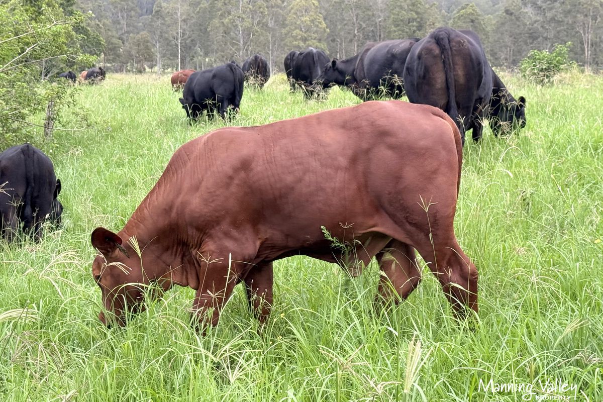 158 Somerset Road, Kimbriki