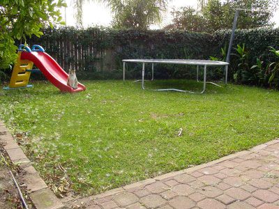 5 Bayview Street, Arncliffe