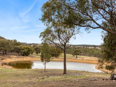 940 Dairy Flat Road, Heathcote South