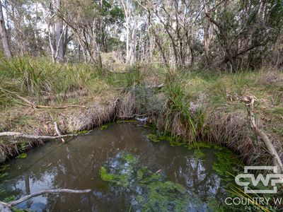 10 Tablelands Road, Red Range