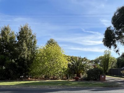 10 Brooke Street, Inglewood