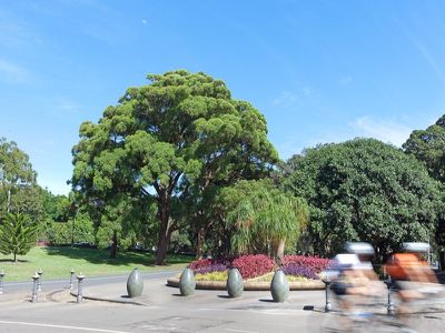 6 / 47-49 York Road, Queens Park