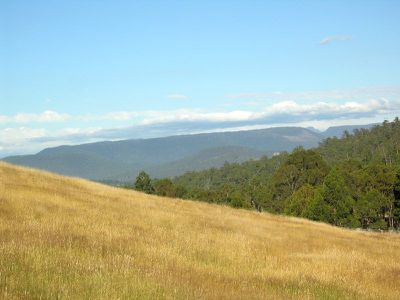 264 Judds Creek Road, Judbury