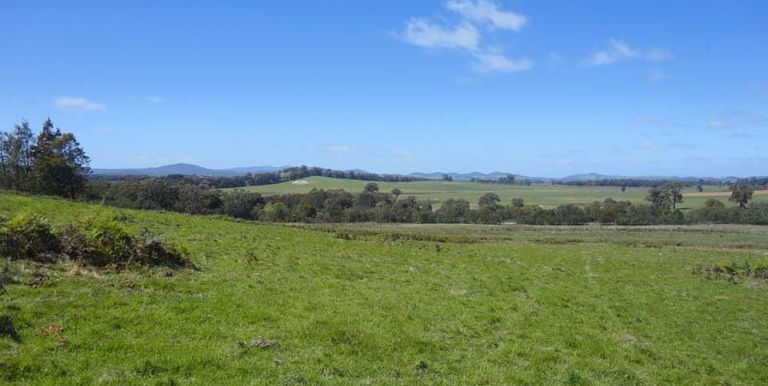 Harrys Creek Road, Strathbogie