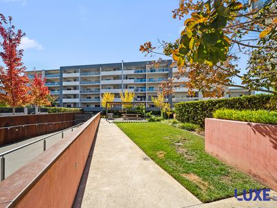 83 / 40 Philip Hodgins Street, Wright