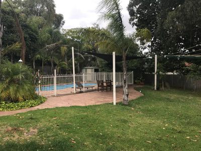 11 Tetragona Quadrant, Rowville