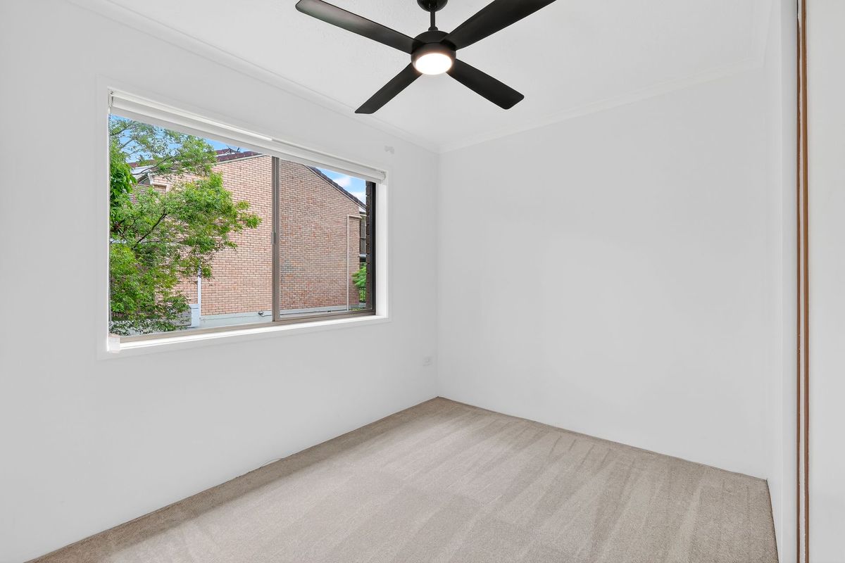 5 / 32 IMPERIAL PARADE, Labrador