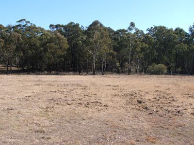 Cartarah Creek Road, Torrington