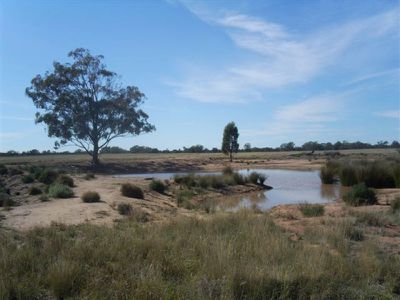 'Palmdale', 208R Mogriguy Road, Eumungerie