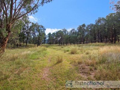 Lot 58 Tanglewood Road, Moonbi