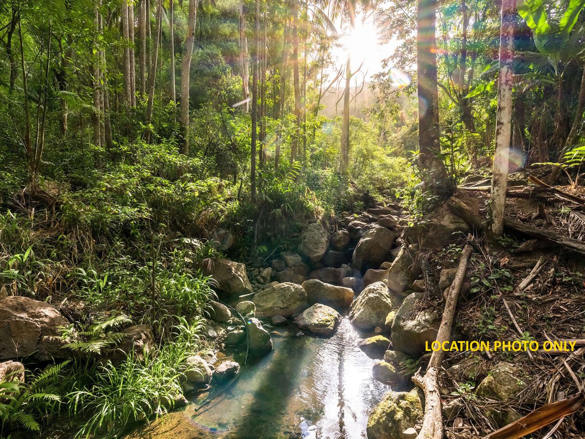 807 Left Bank Road, Mullumbimby Creek
