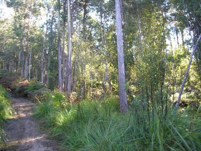 Office SO / Lot 1 Uthwood Road, Lonnavale