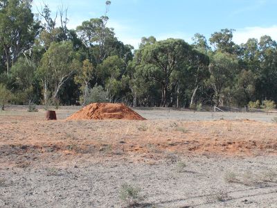 6523 Swan Hill Road, Moulamein