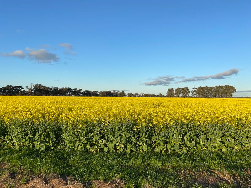 2015 McEwen Road, Kyabram South