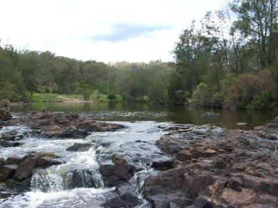 Wellingrove