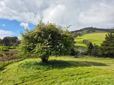 17 Reeves Lane, Dover