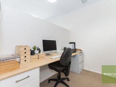 319-325 Williams Road, Alligator Creek