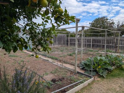 22 Charlotte Avenue, Newcomb