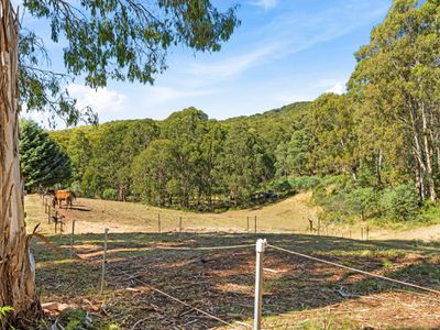 118 Facey Drive, Tolmie