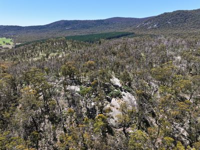 Lot 208 Foggy Forest Drive, Anembo