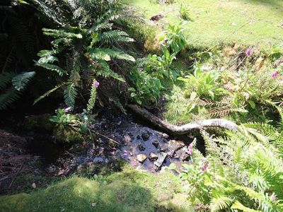 Lot 19 Waggs Gully Road, Ranelagh