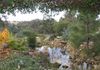 1704 Ophir Road, Orange