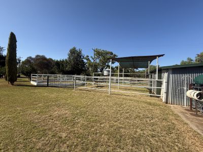4 Gobondery Street, Trundle