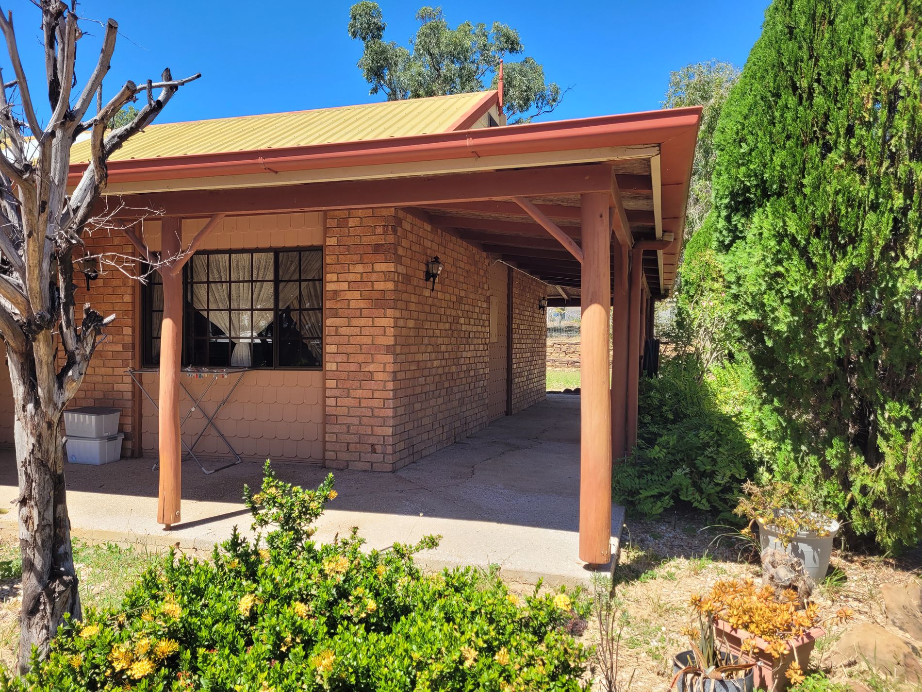 32 WILLOUGHBY STREET, Willows