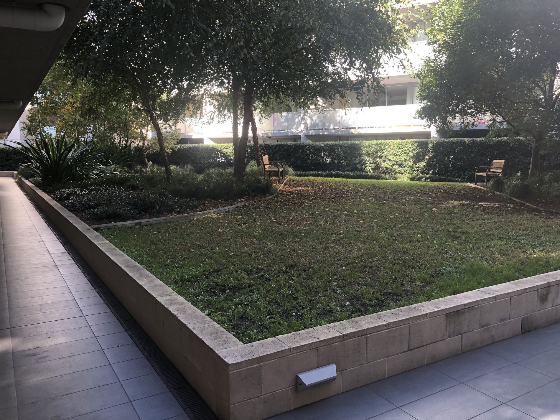 A506 / 359 Illawarra Road, Marrickville