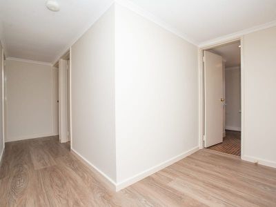 48 Limpet Crescent, South Hedland