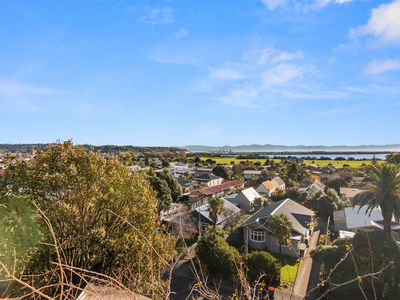 16 Iwa Road, The Wood