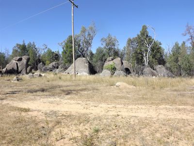 15001 Bruxner Highway, Bonshaw