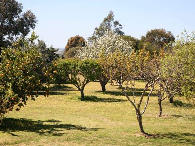 1R Belgravia Heights Road, Dubbo