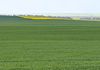 155 Claypans Road, Copeville