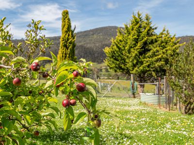 1000 Glen Huon Road, Glen Huon