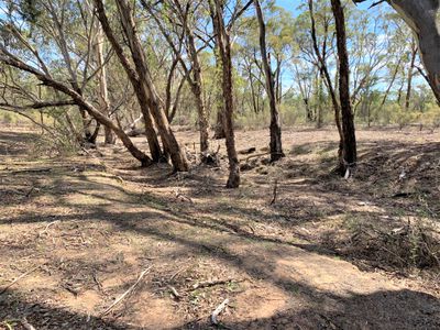 Lot 19J, Mt Camel-Graytown Road, Redcastle