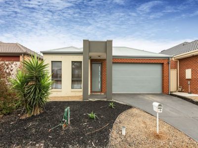 19 Chatham Avenue, Tarneit