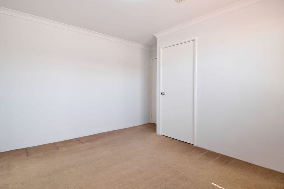 5 Diamondbird  , Baldivis