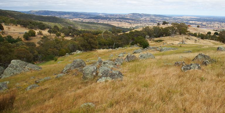 1209 Euroa Strathbogie Road Kelvin View, Euroa