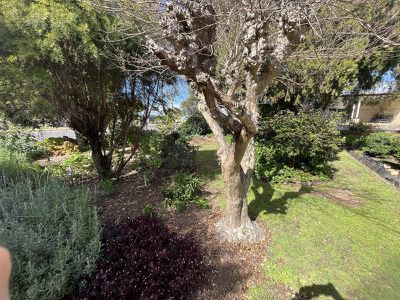 55 Gipps Street, Nanango